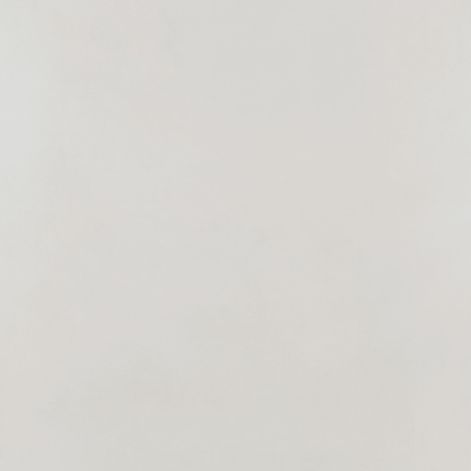 Pro Ivory AC 24